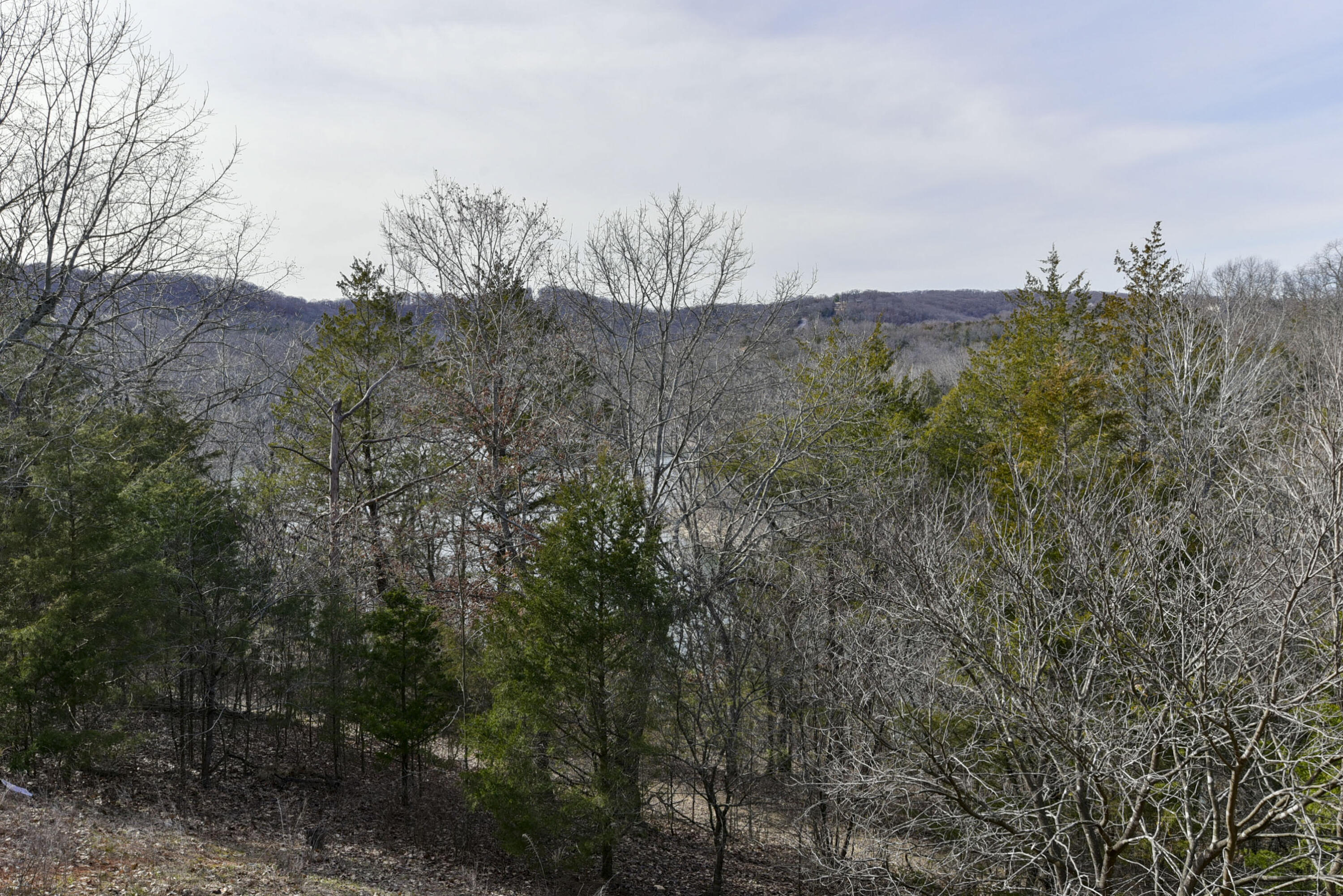 Photo 7 - Residential for sale – 5  Woodpecker Lane  Branson, MO