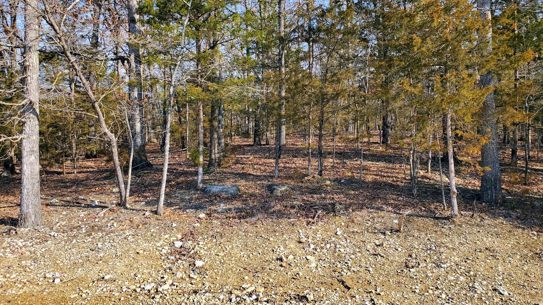 Land for sale – 000  Lot 98 Summer Breeze Lane  Kimberling City, MO