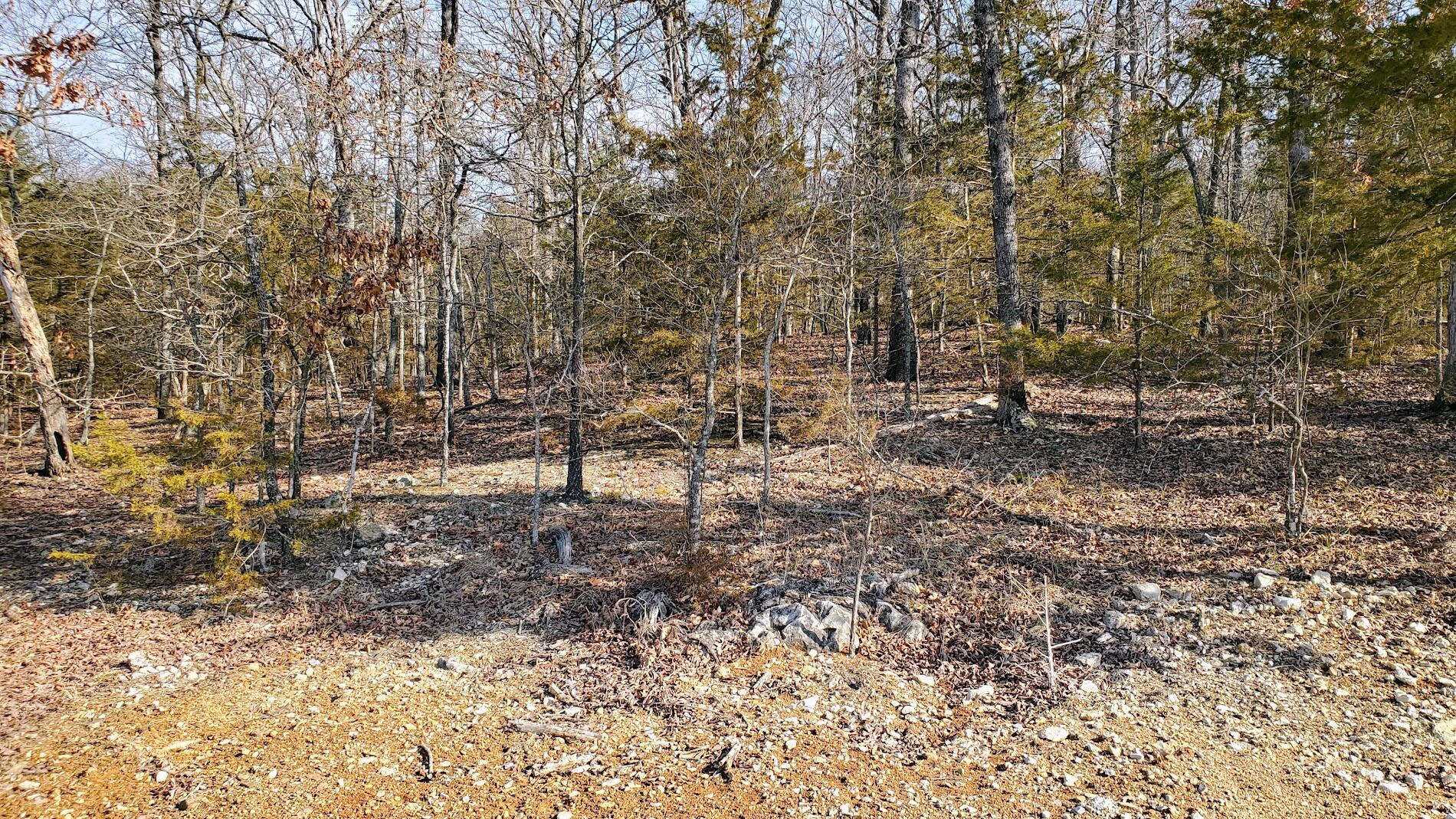Photo 2 - Land for sale – 000  Lot 98 Summer Breeze Lane  Kimberling City, MO