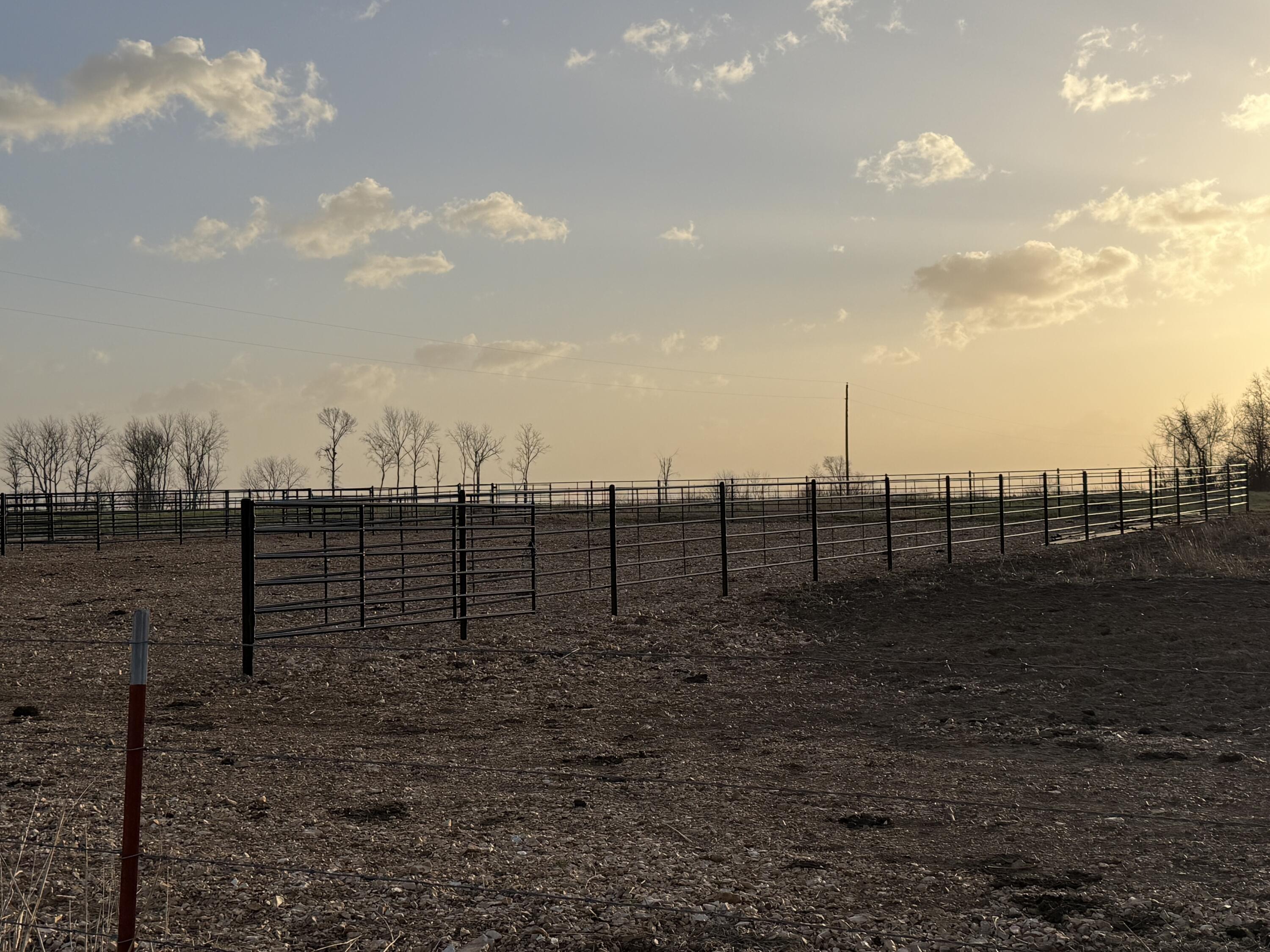 Photo 4 - Land for sale – Tract 3  Dade 142   South Greenfield, MO