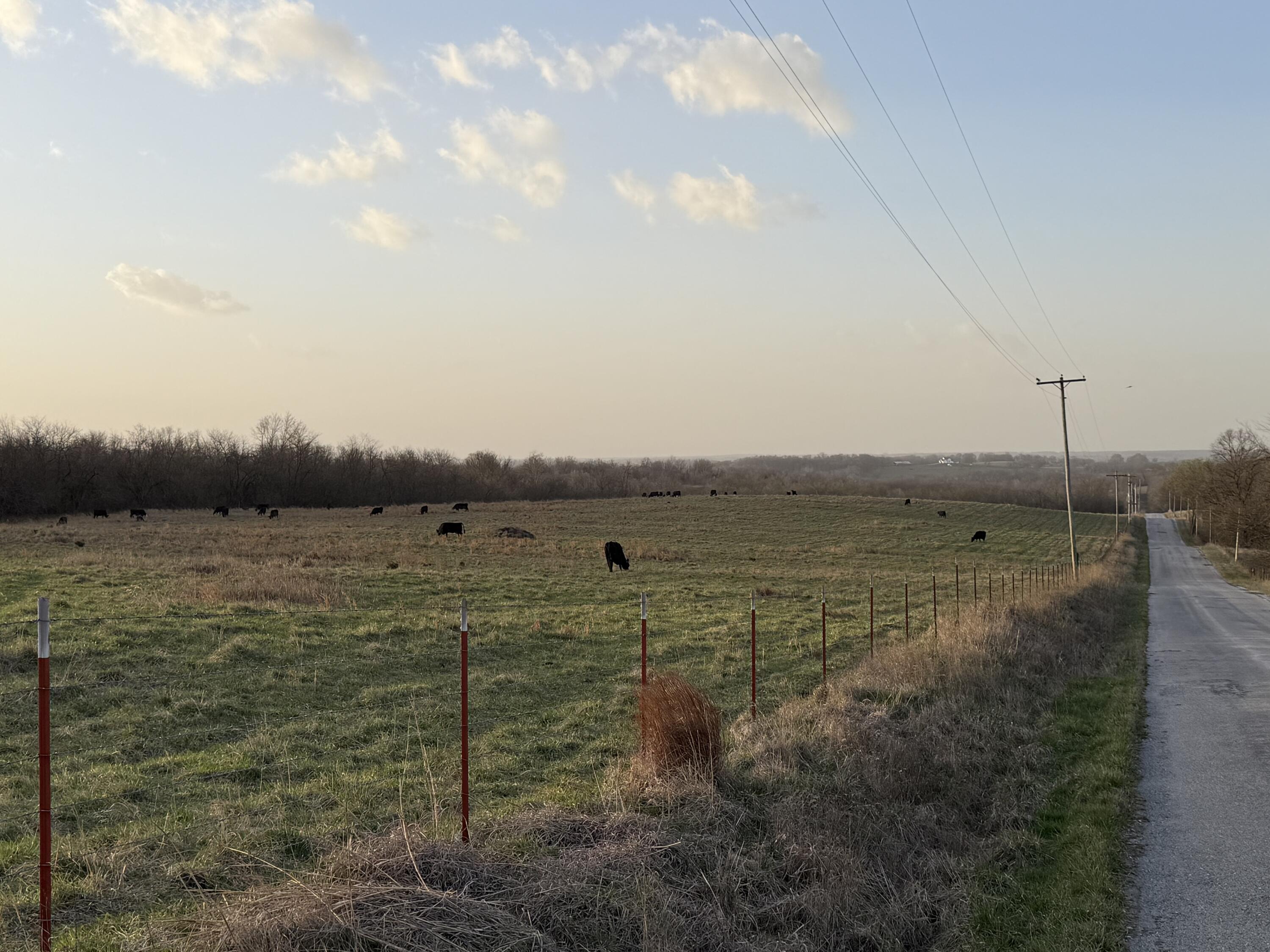 Land for sale – Tract 3  Dade 142   South Greenfield, MO