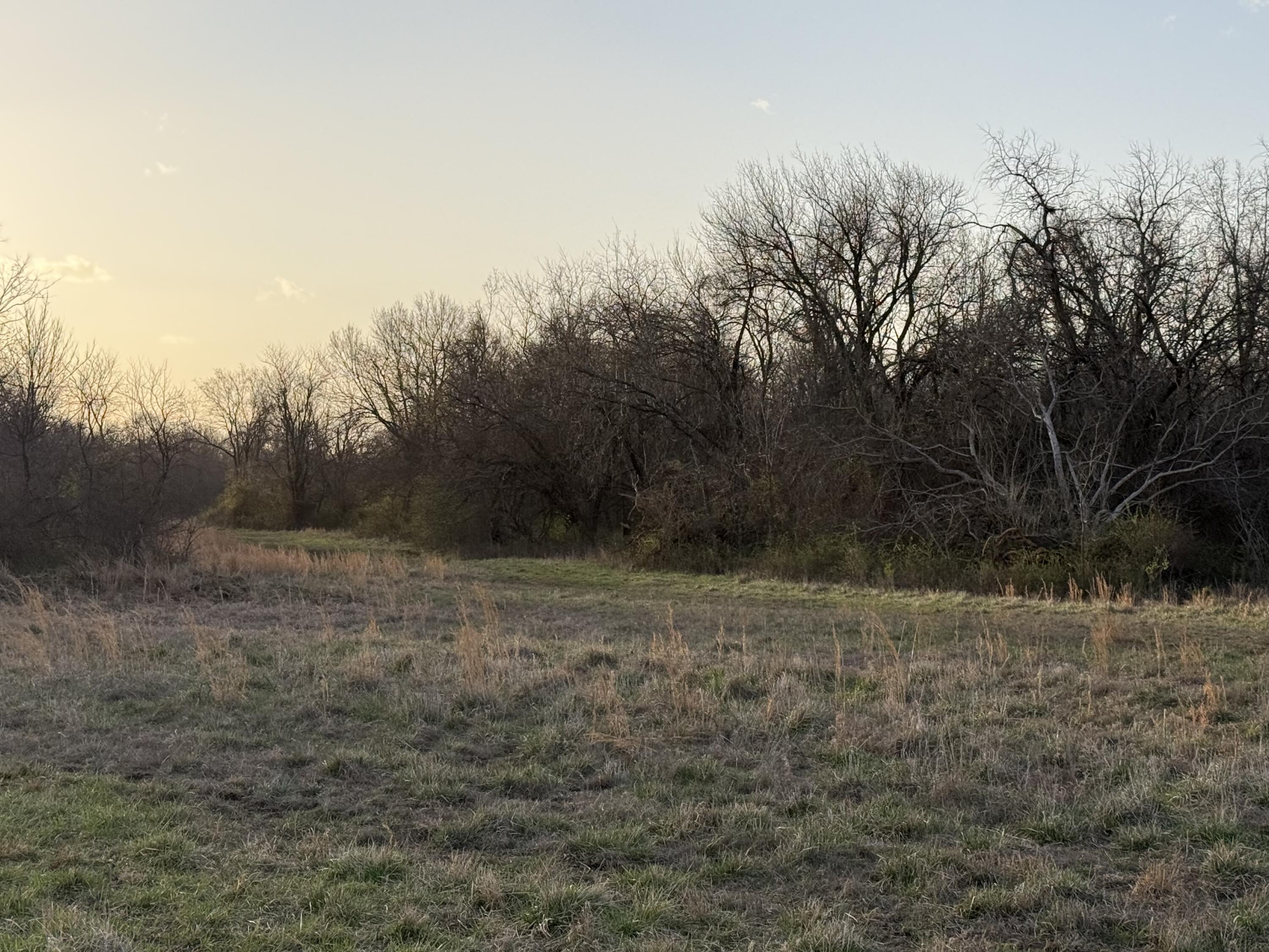 Photo 10 - Land for sale – Tract 3  Dade 142   South Greenfield, MO