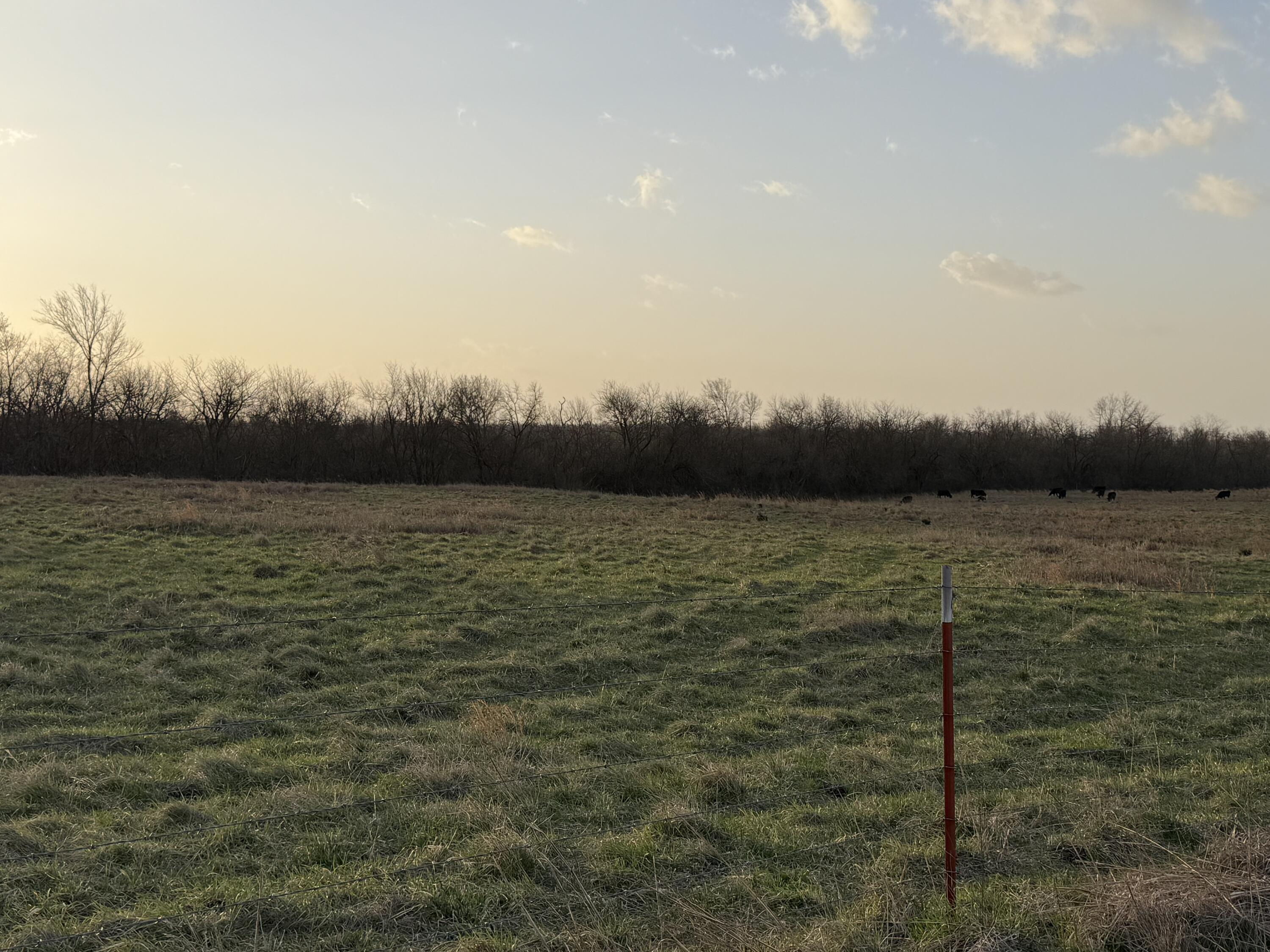 Photo 2 - Land for sale – Tract 3  Dade 142   South Greenfield, MO