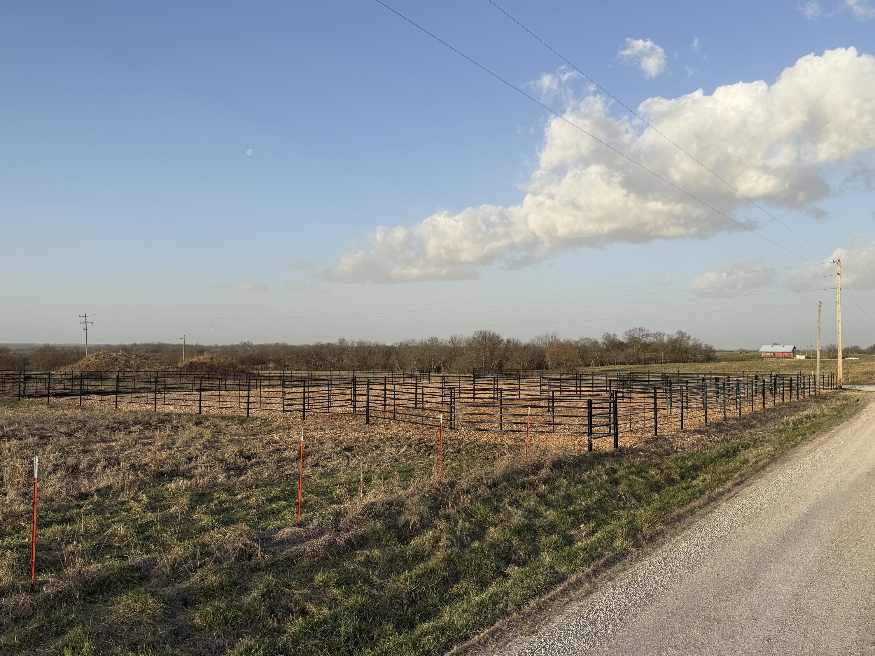 Photo 3 - Land for sale – Tract 3  Dade 142   South Greenfield, MO