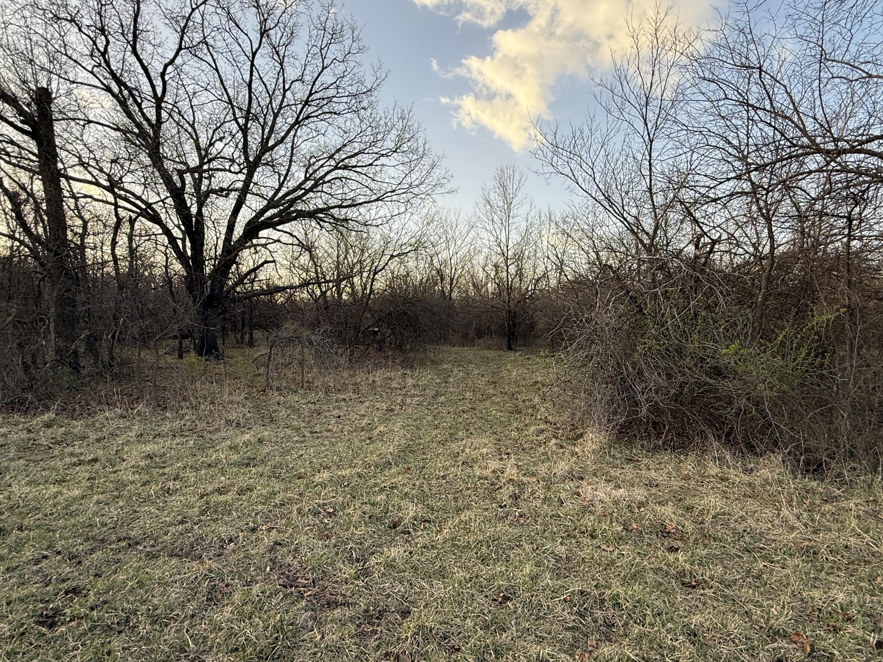 Photo 6 - Land for sale – Tract 3  Dade 142   South Greenfield, MO