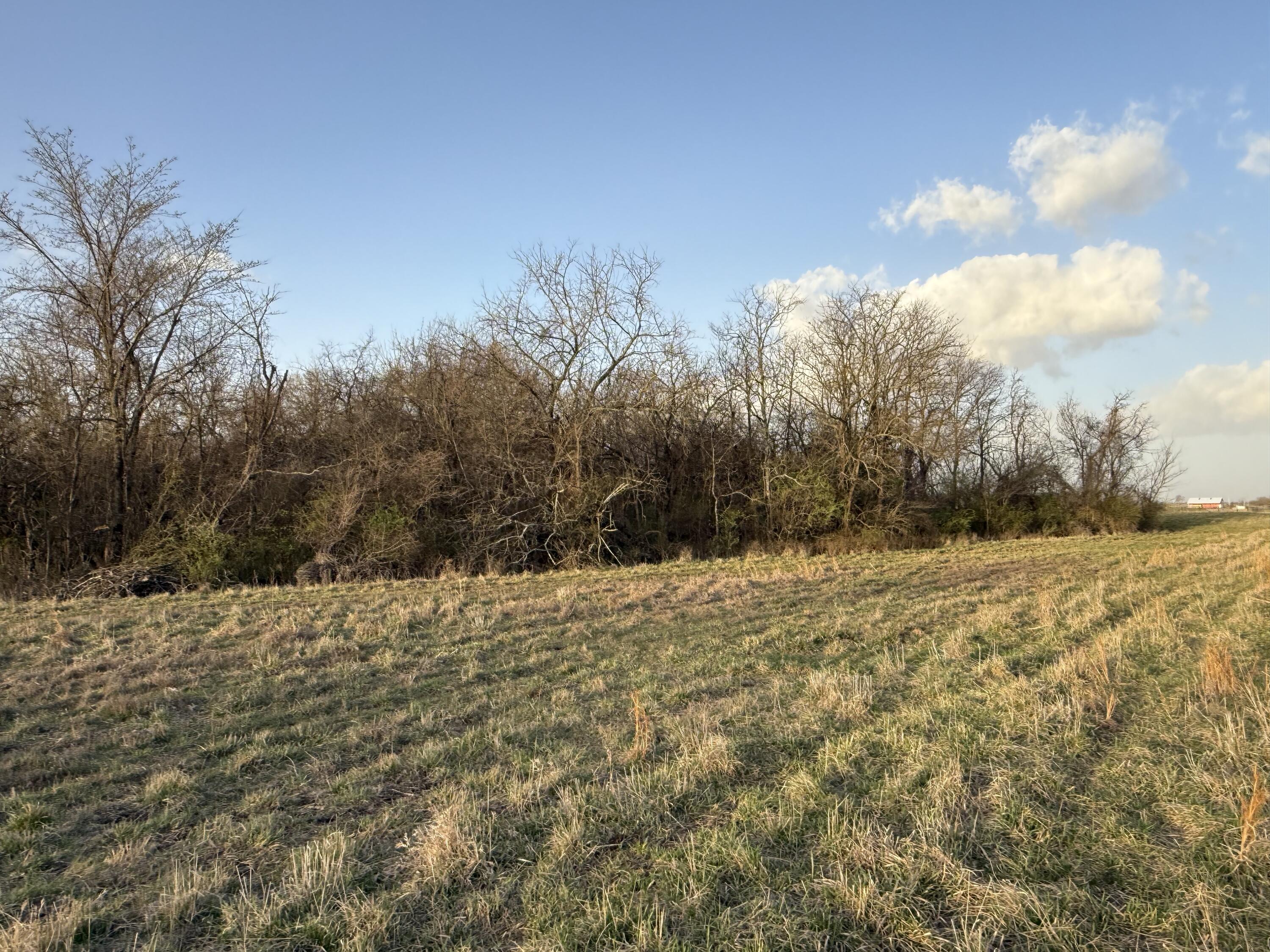 Photo 11 - Land for sale – Tract 3  Dade 142   South Greenfield, MO
