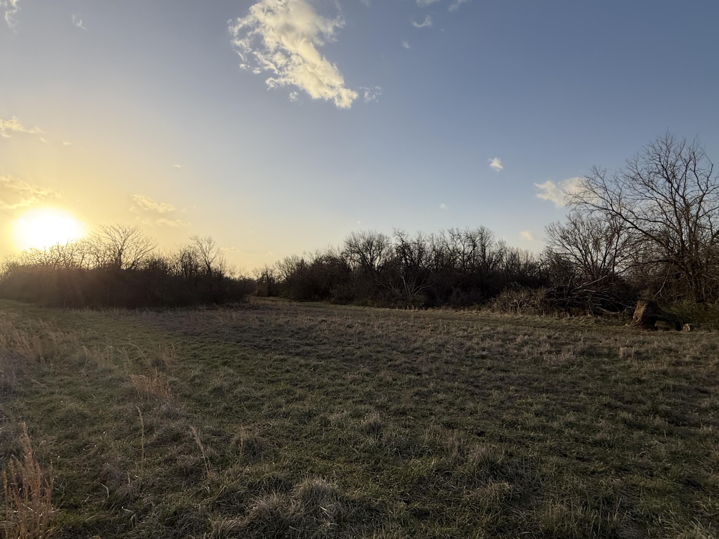 Photo 9 - Land for sale – Tract 3  Dade 142   South Greenfield, MO