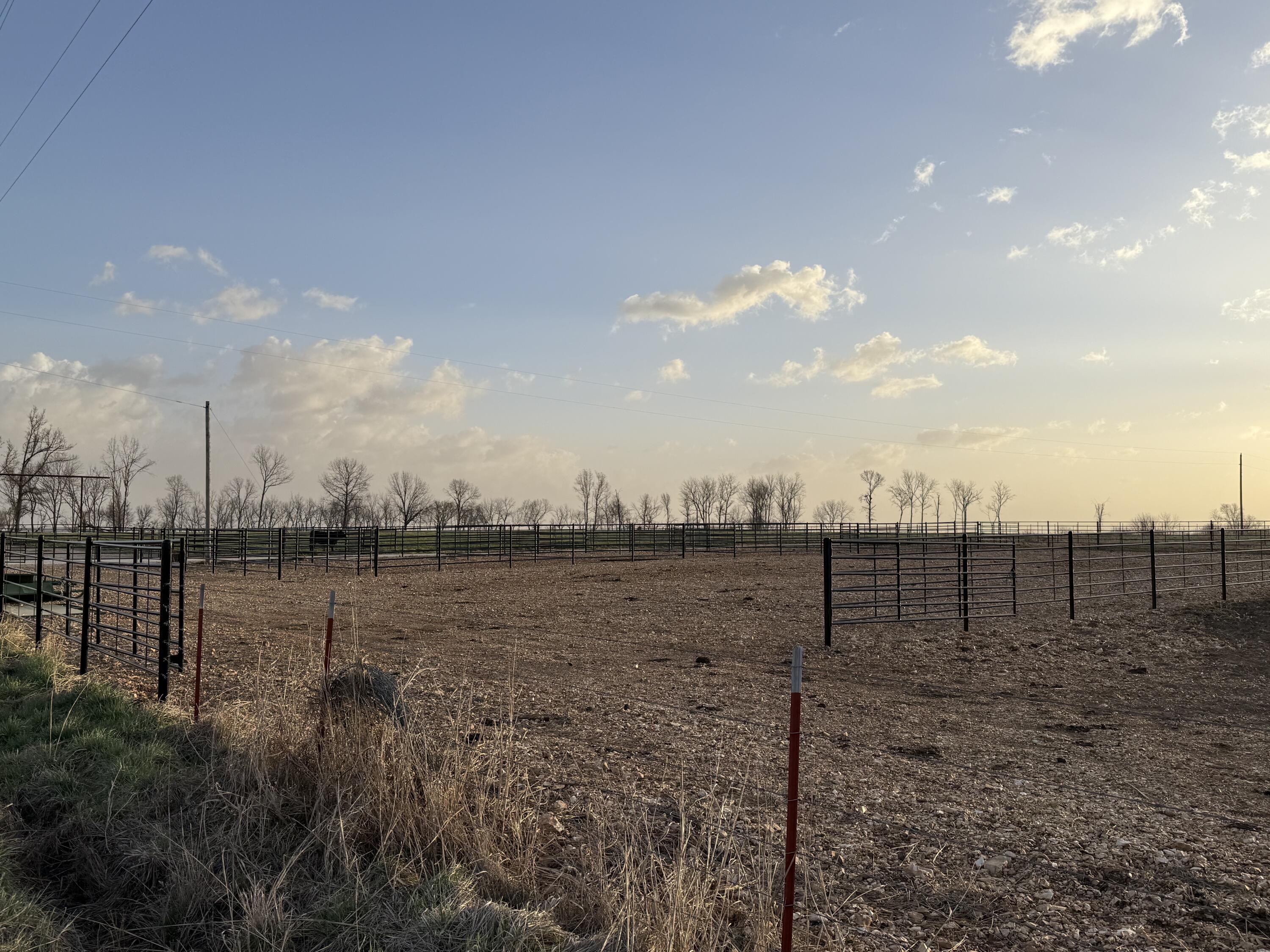 Photo 5 - Land for sale – Tract 3  Dade 142   South Greenfield, MO