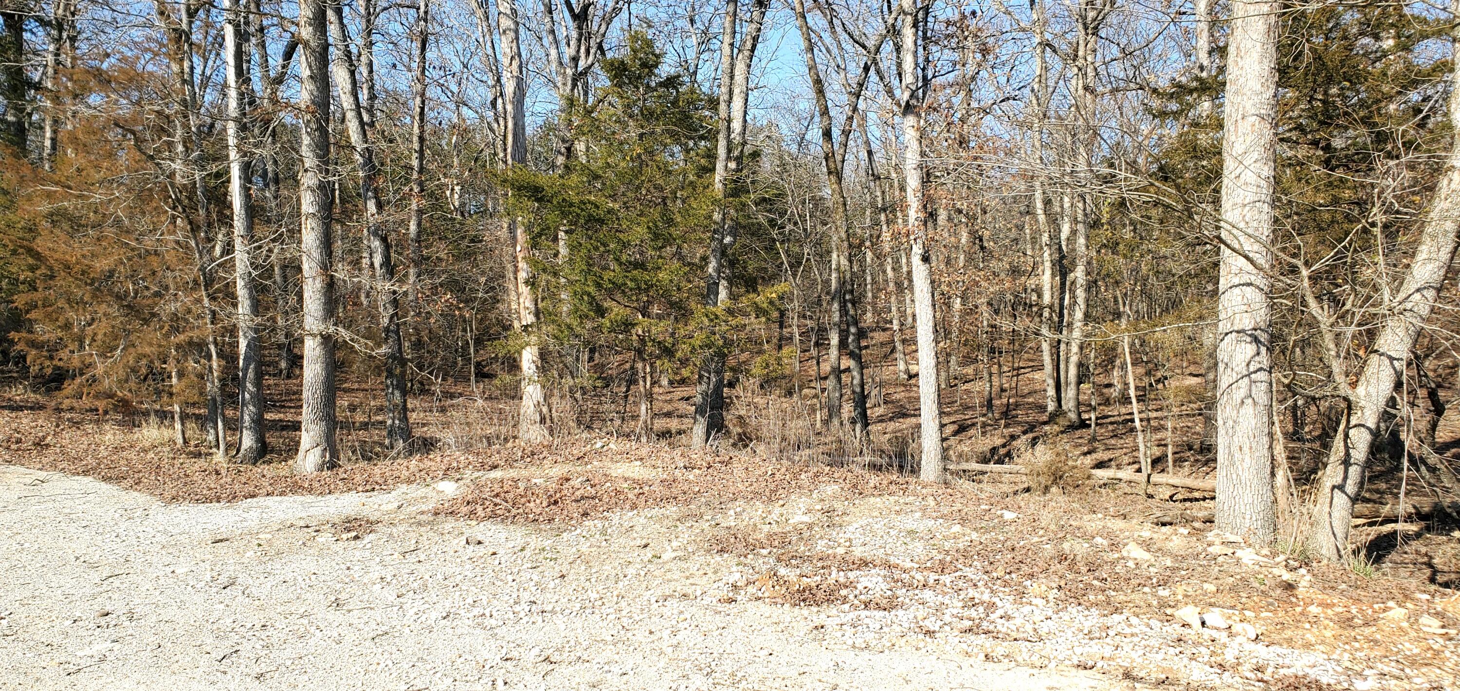 Photo 2 - Land for sale – 000  Lot 99 Summer Breeze Lane  Kimberling City, MO