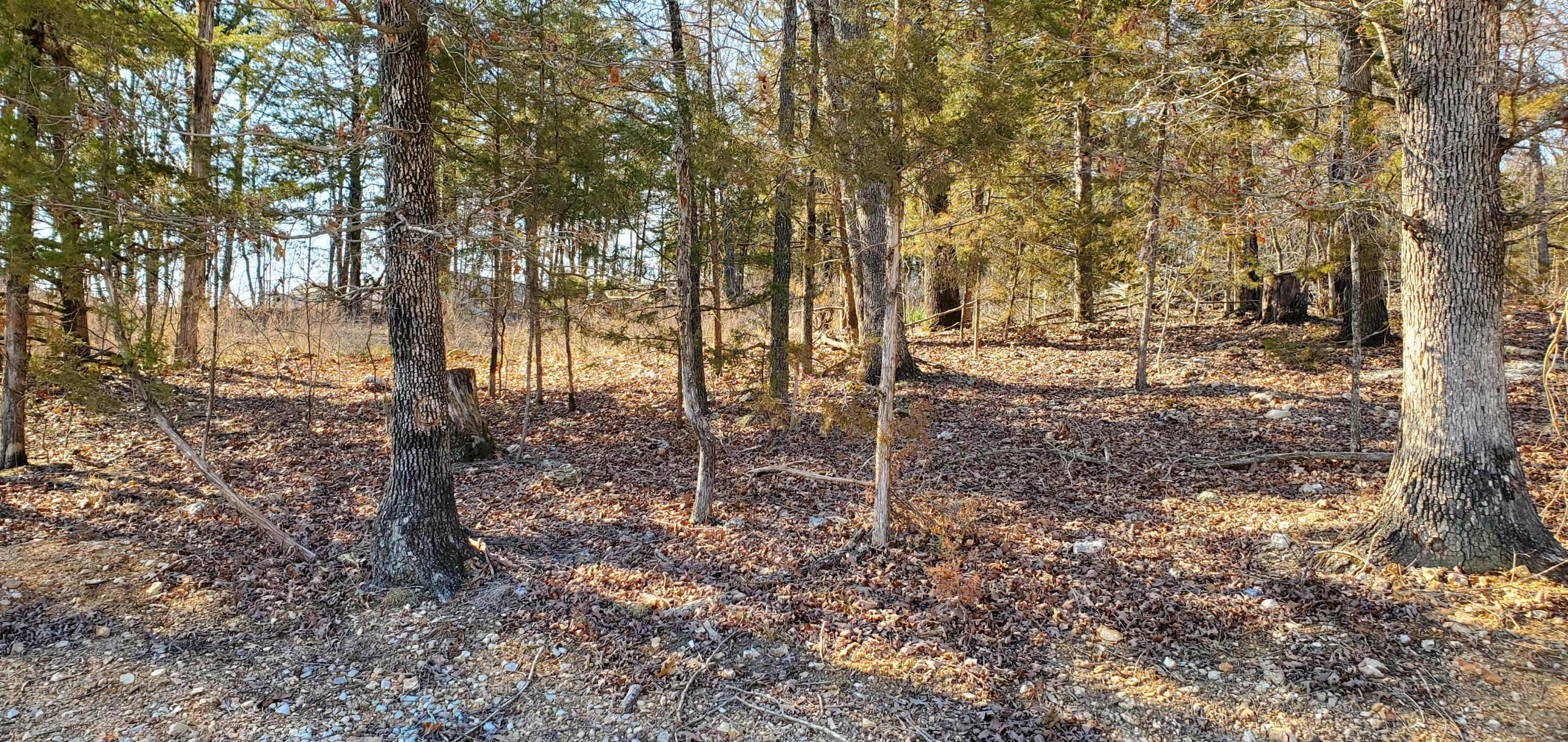 Photo 2 - Land for sale – 000  Lot 101 Summer Breeze Lane  Kimberling City, MO