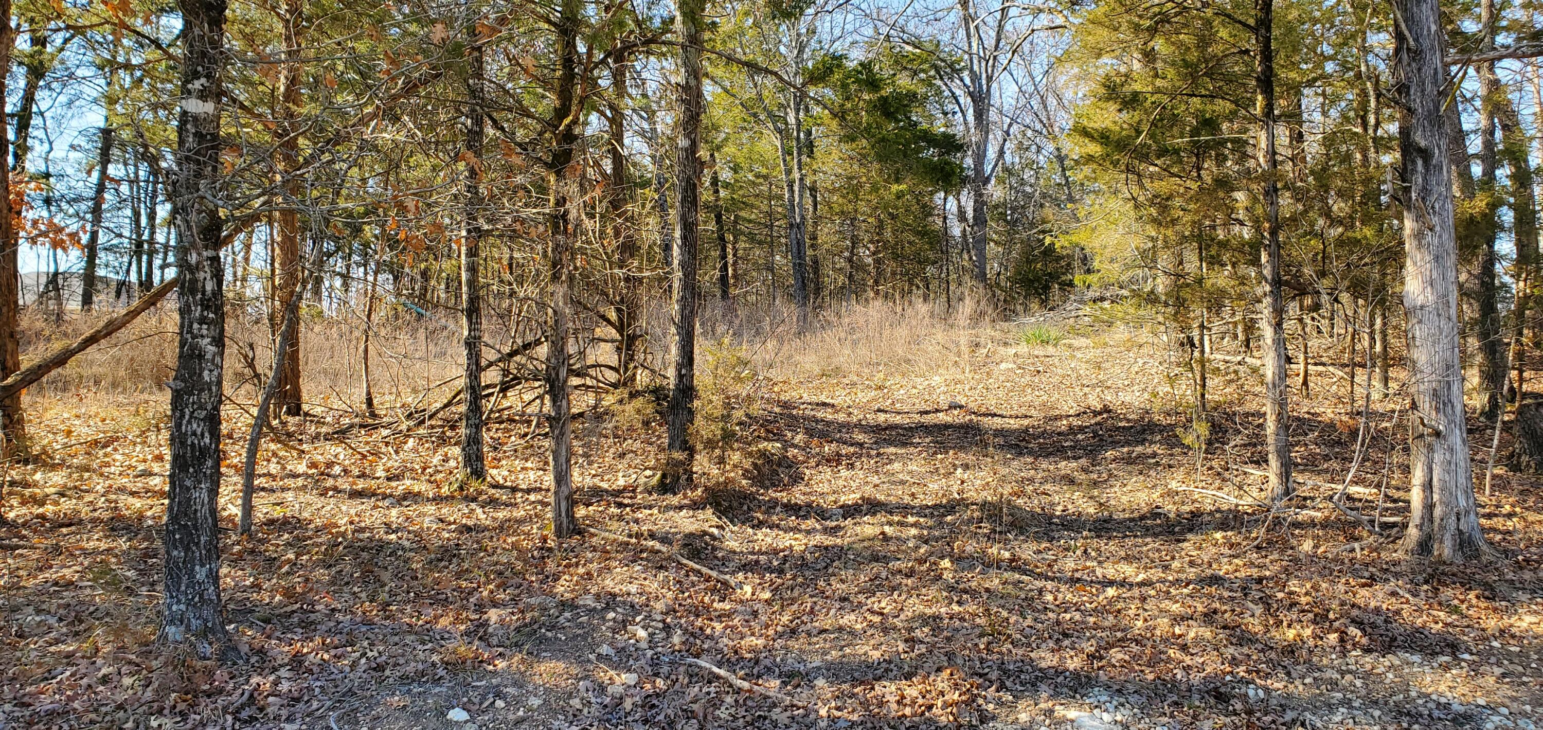 Land for sale – 000  Lot 101 Summer Breeze Lane  Kimberling City, MO