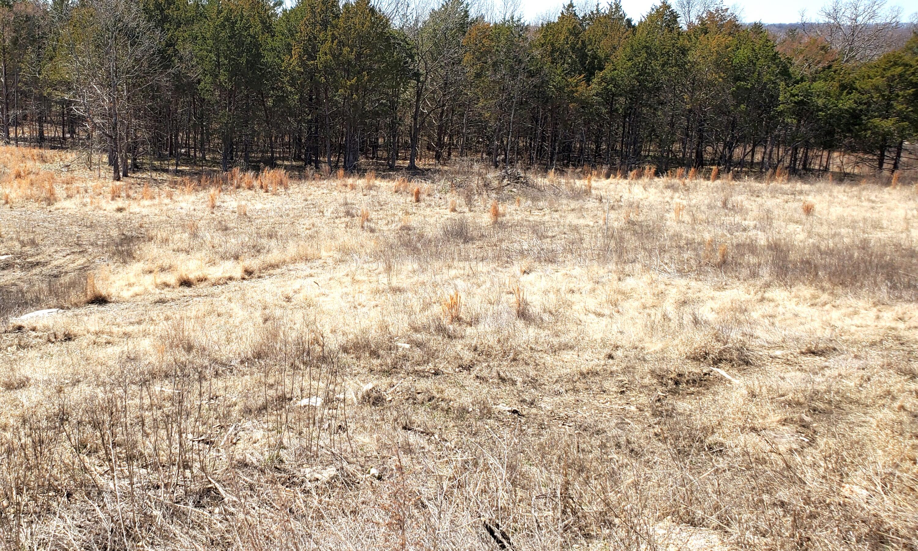 Land for sale – 000  Lot 188 Silver Sunset Lane   Kimberling City, MO