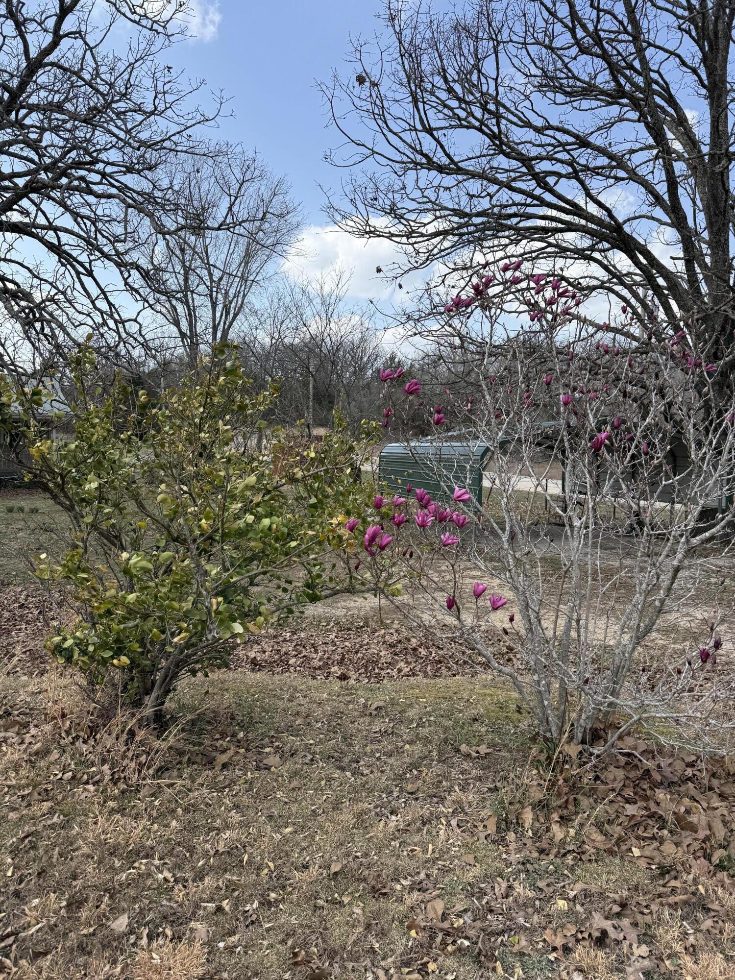 Photo 23 - Residential for sale – 541  County Road 806   Gainesville, MO
