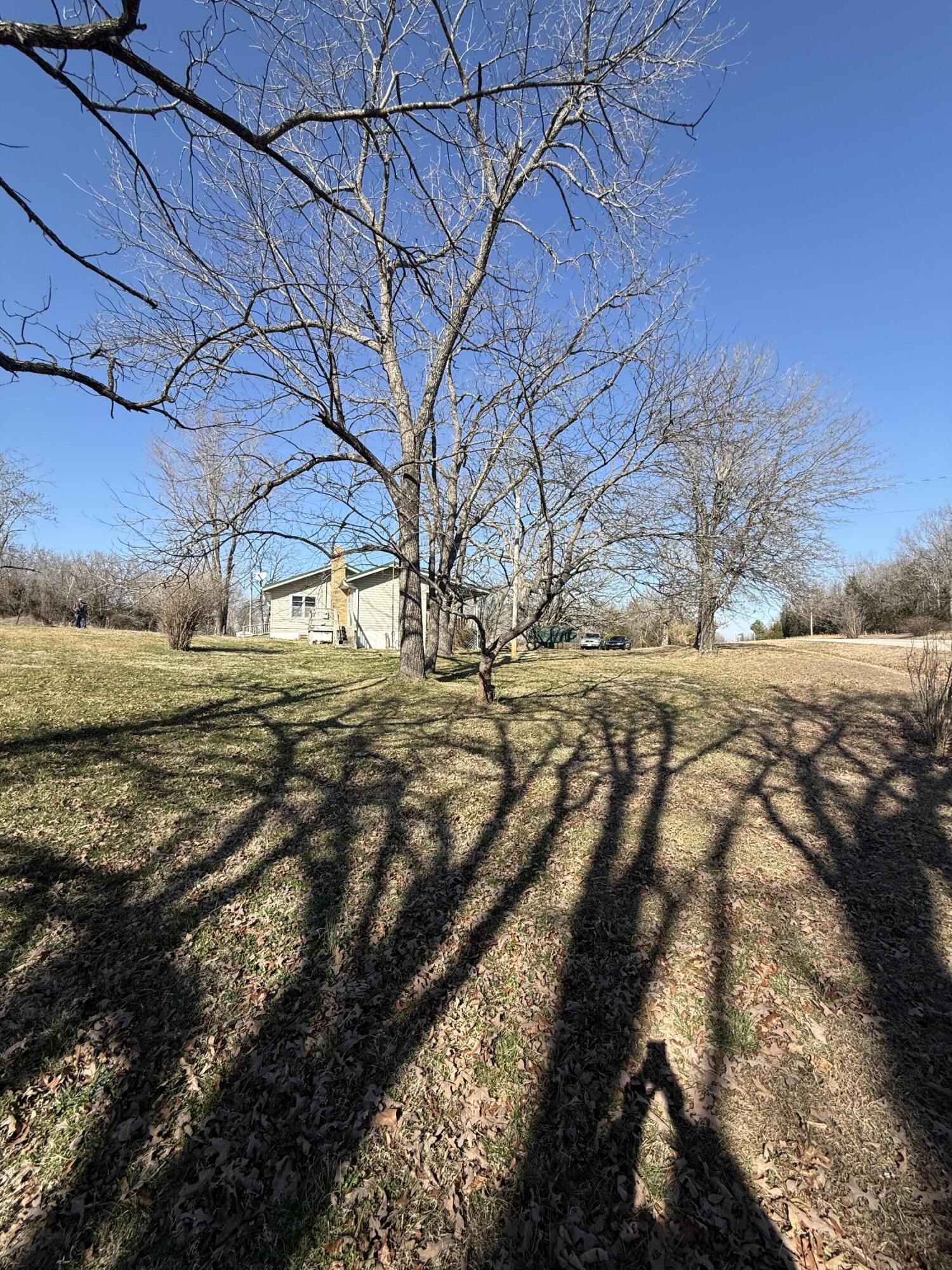 Photo 20 - Residential for sale – 541  County Road 806   Gainesville, MO