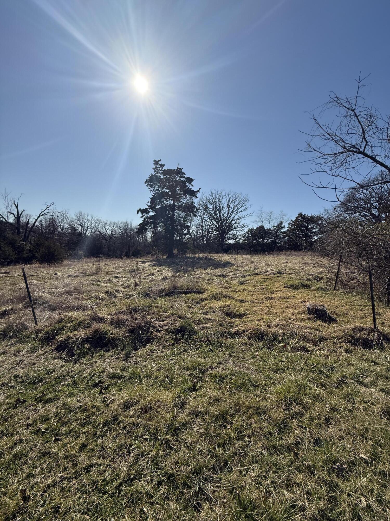 Photo 22 - Residential for sale – 541  County Road 806   Gainesville, MO