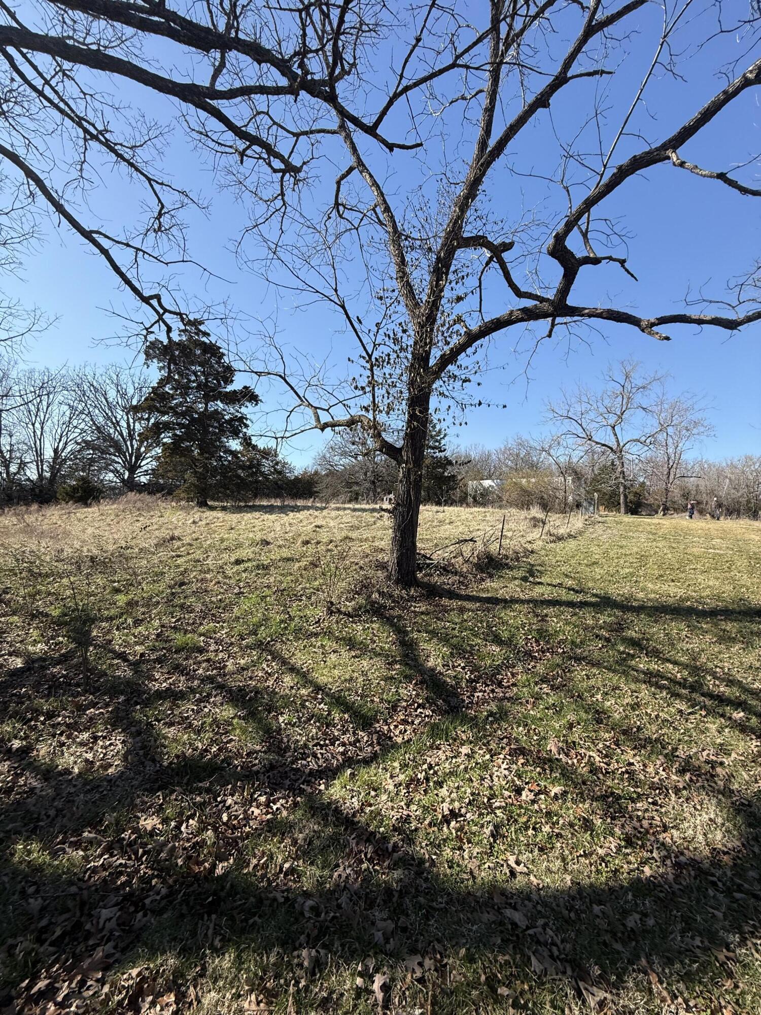 Photo 18 - Residential for sale – 541  County Road 806   Gainesville, MO