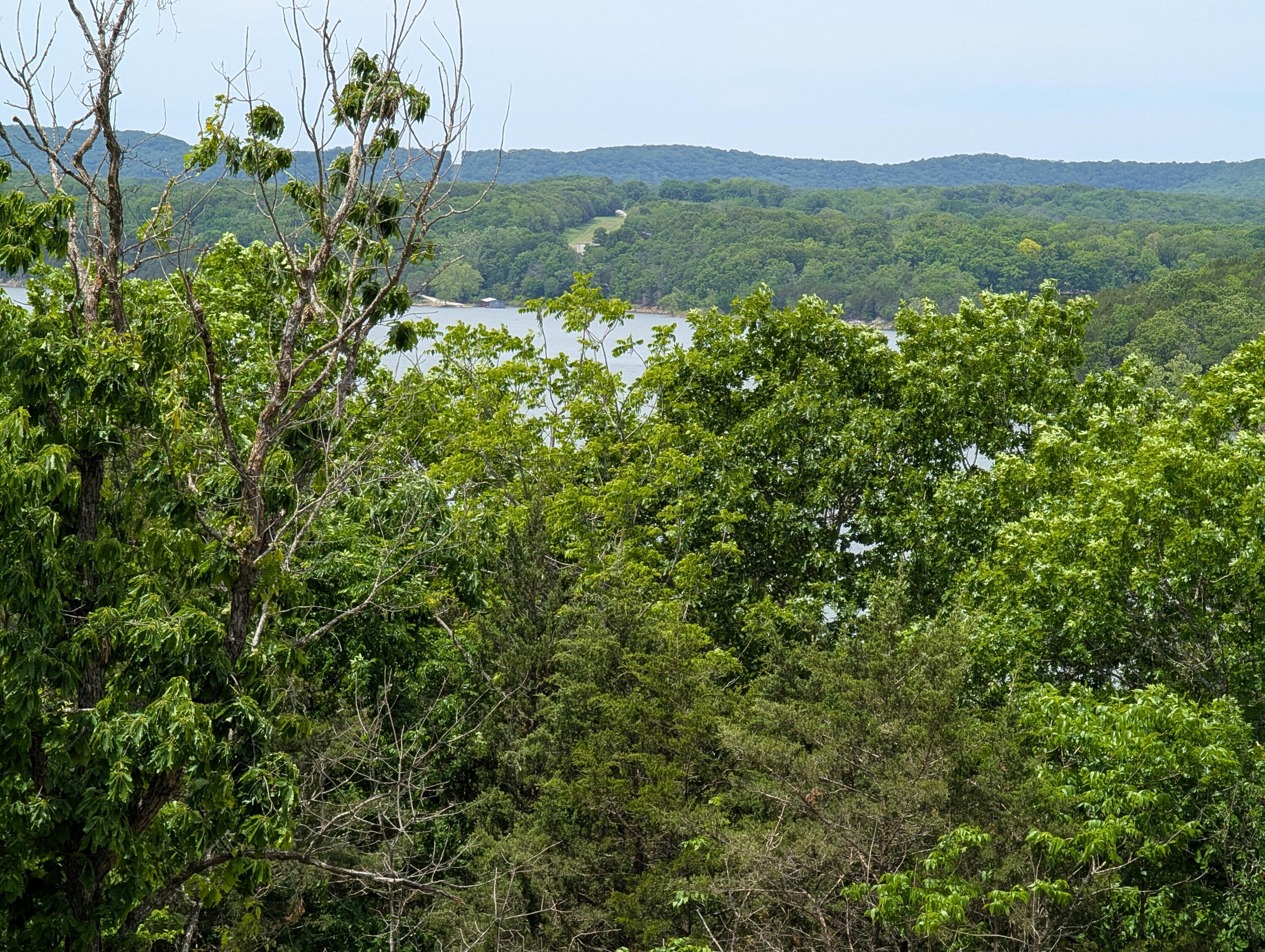 Photo 5 - Land for sale – 000  Briarcliff Drive  Shell Knob, MO