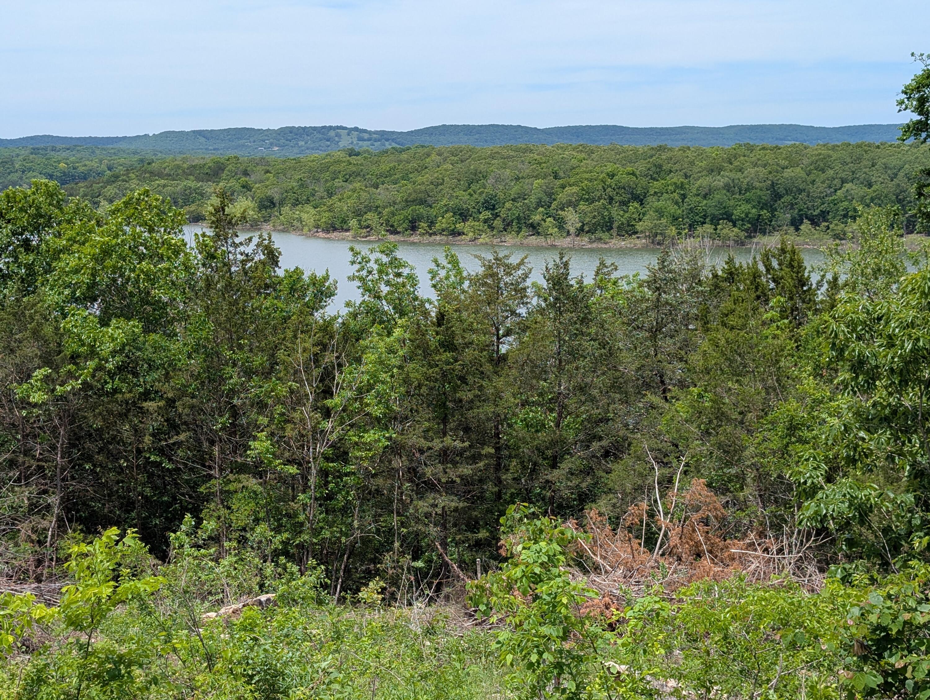 Photo 4 - Land for sale – 000  Briarcliff Drive  Shell Knob, MO