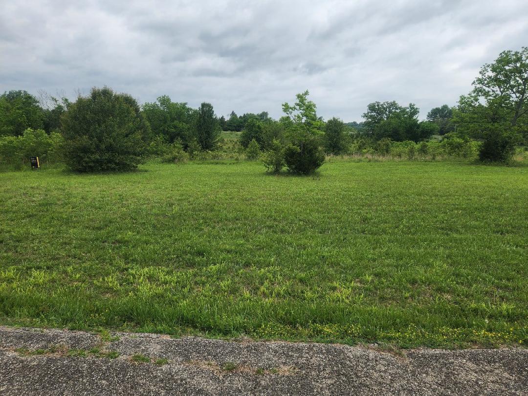 Land for sale – Lot 9  Country Music Ln   Galena, MO