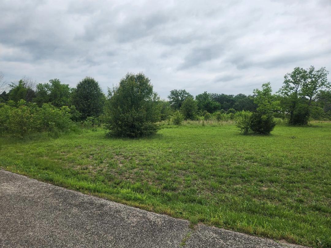 Photo 4 - Land for sale – Lot 9  Country Music Ln   Galena, MO