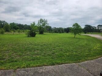 Photo 5 - Land for sale – Lot 9  Country Music Ln   Galena, MO