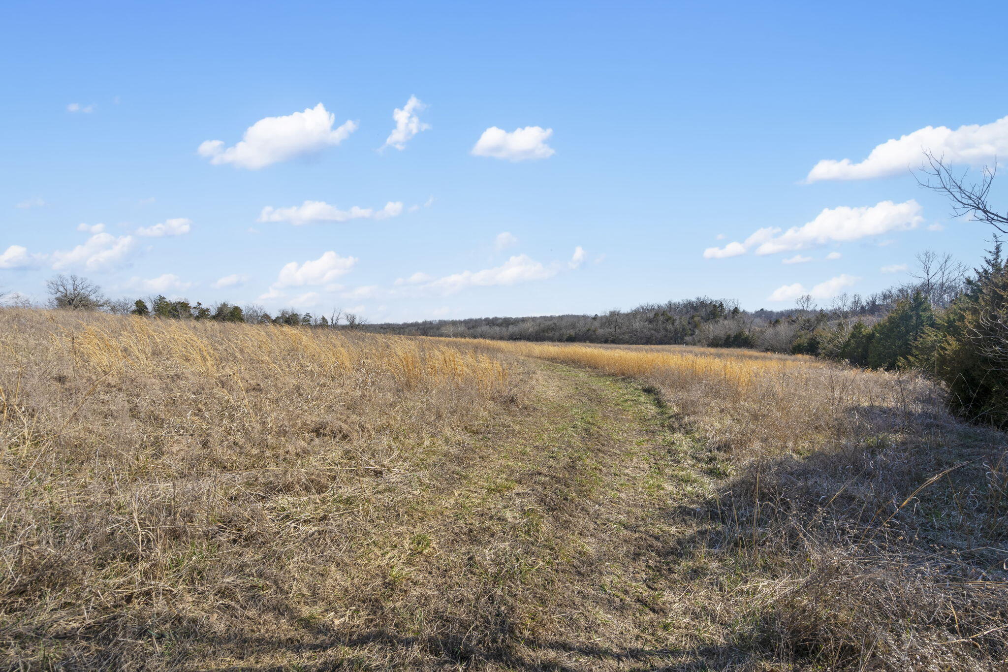 Photo 8 - Land for sale – 96  Alamo   Buffalo, MO