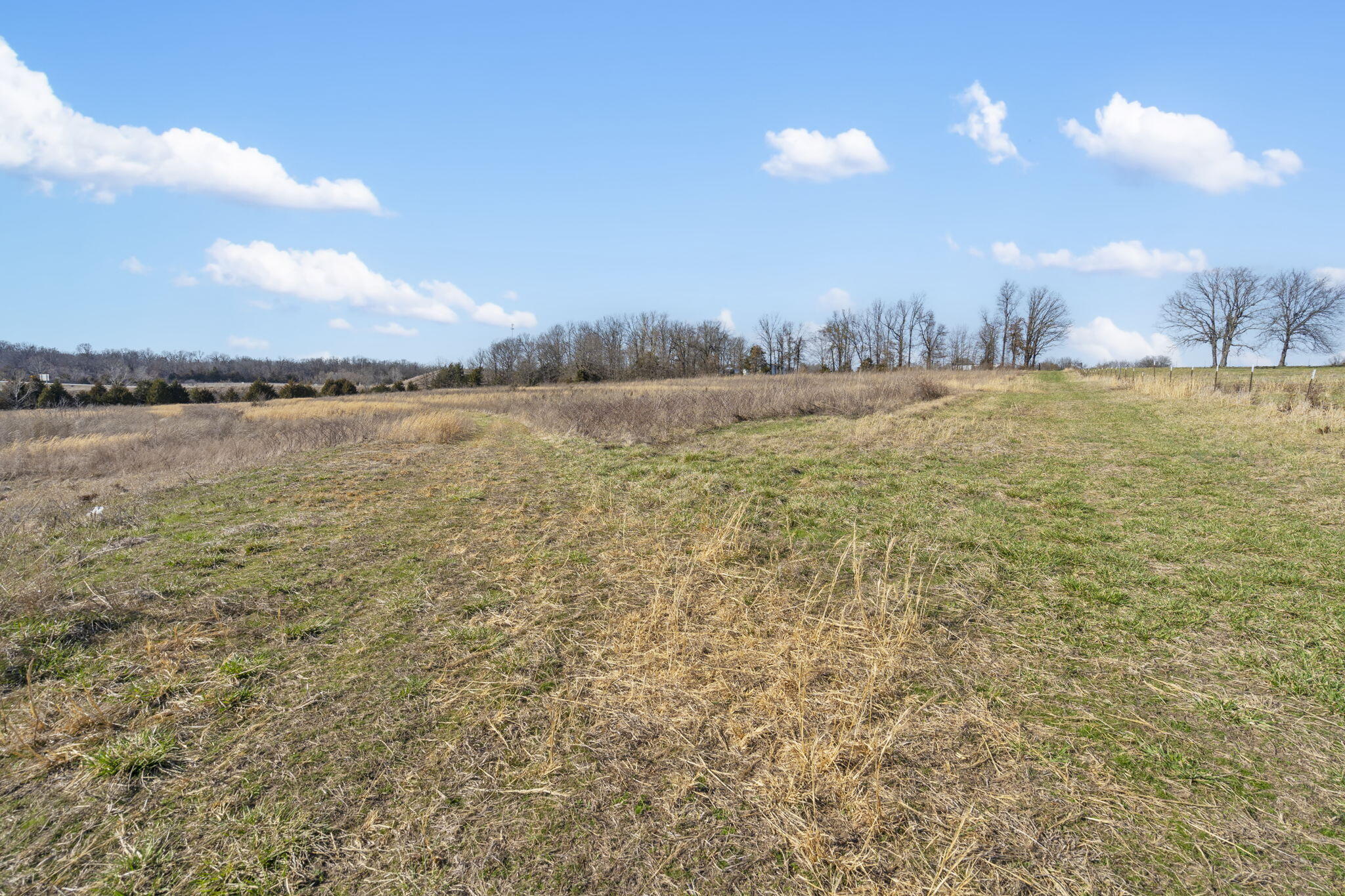 Photo 6 - Land for sale – 96  Alamo   Buffalo, MO