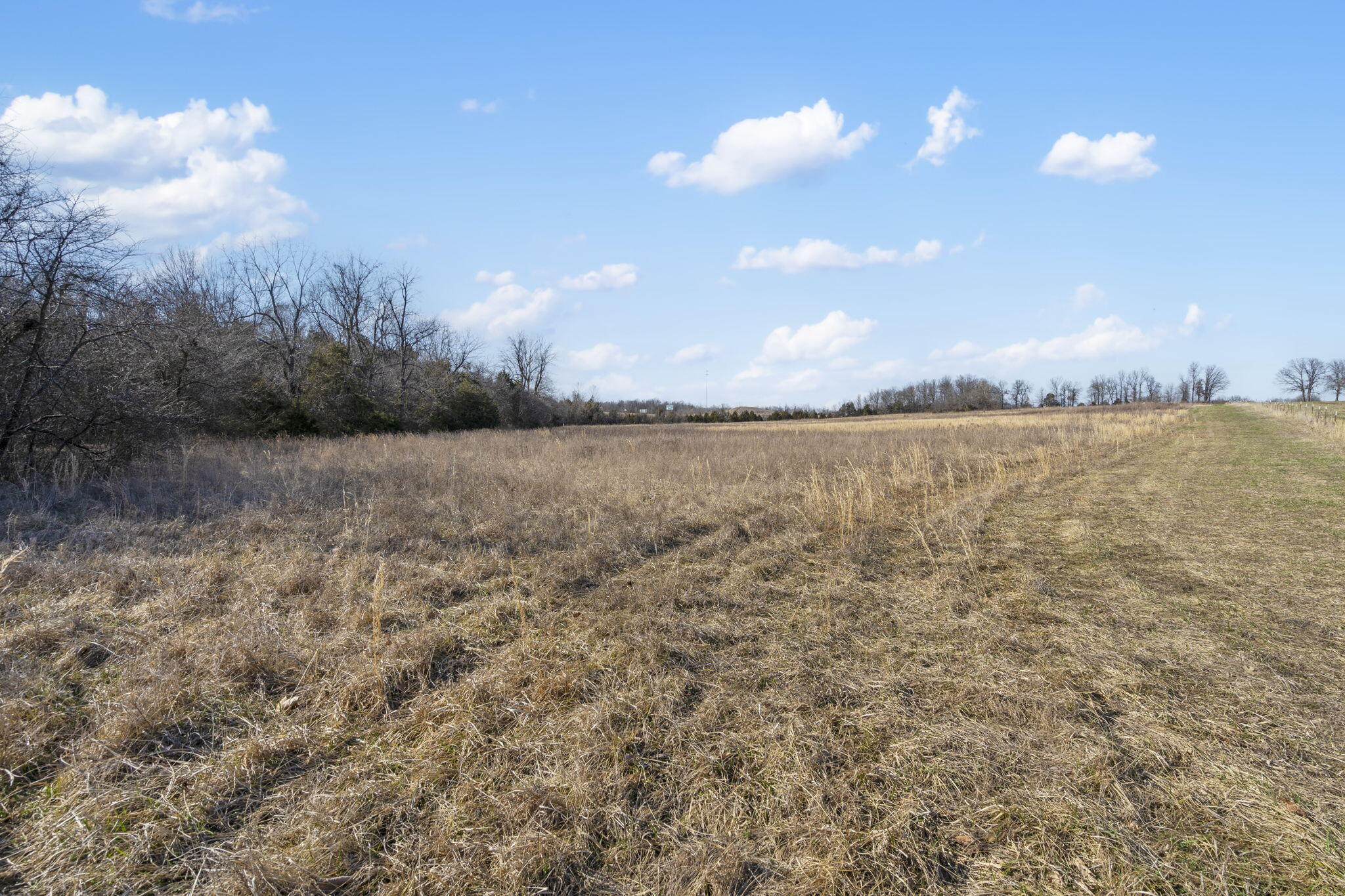 Photo 7 - Land for sale – 96  Alamo   Buffalo, MO