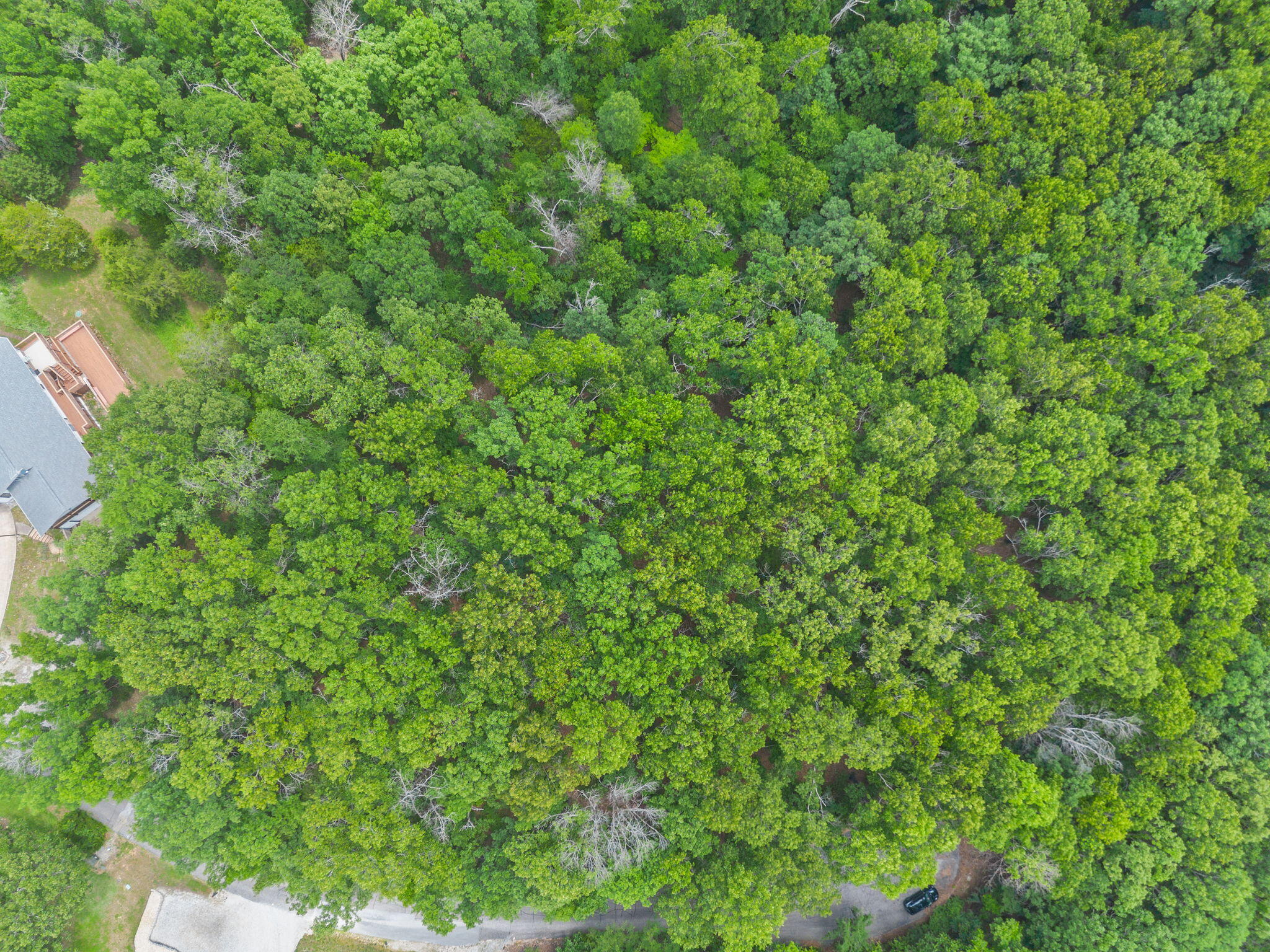 Photo 15 - Land for sale – Lot 23  Mcguire Drive  Kimberling City, MO