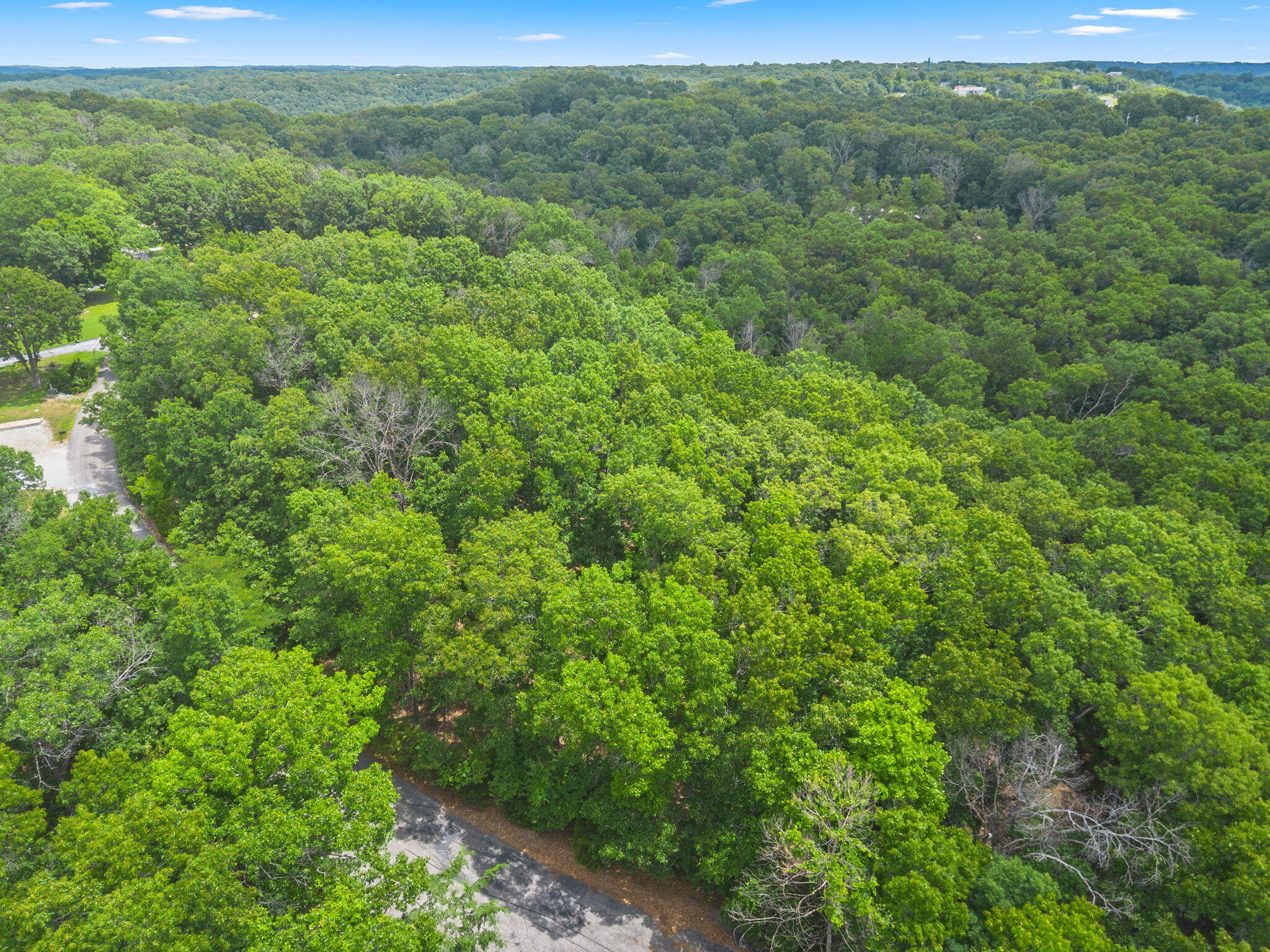 Photo 7 - Land for sale – Lot 23  Mcguire Drive  Kimberling City, MO