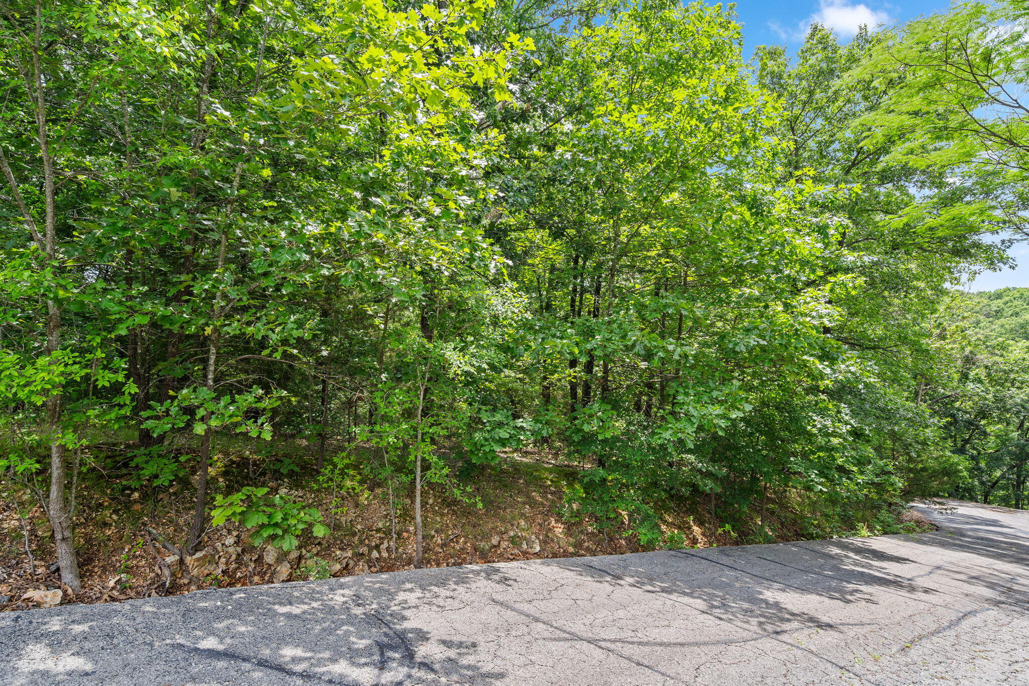 Photo 8 - Land for sale – Lot 23  Mcguire Drive  Kimberling City, MO