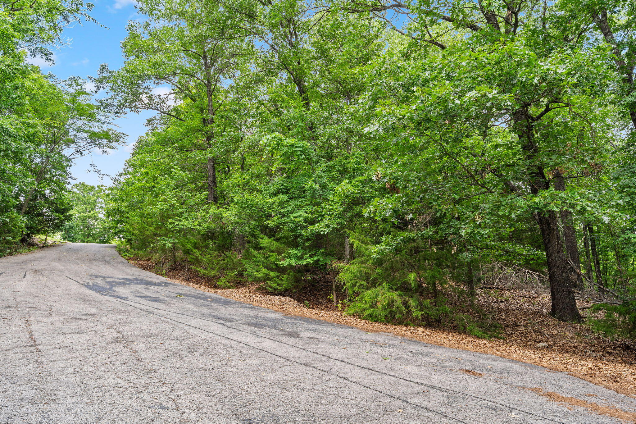 Photo 12 - Land for sale – Lot 23  Mcguire Drive  Kimberling City, MO