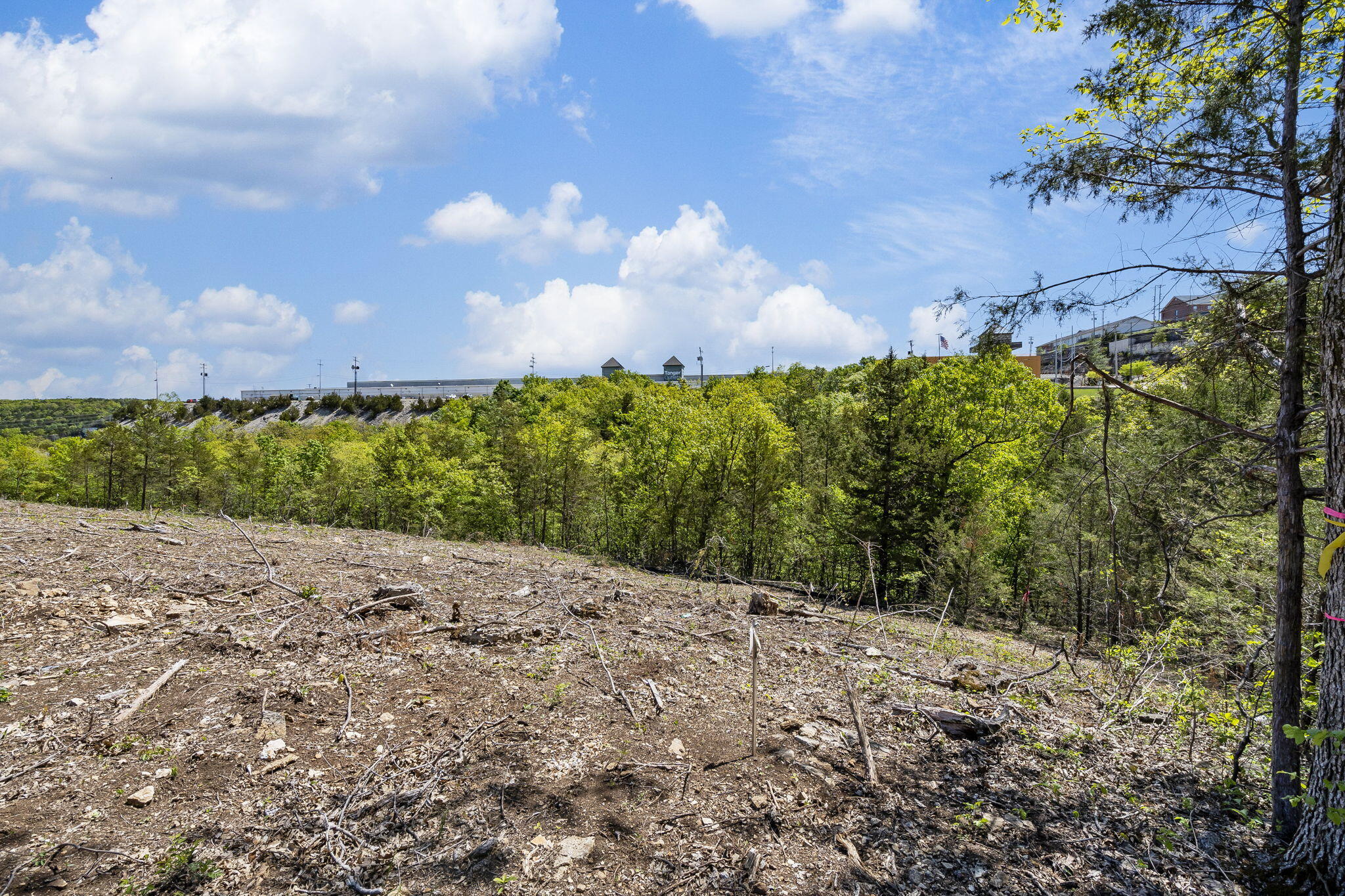 Photo 4 - Land for sale – 300 N Wildwood Drive  Branson, MO