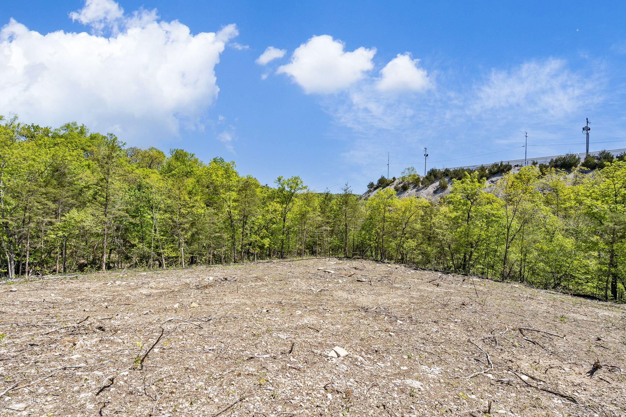 Photo 5 - Land for sale – 300 N Wildwood Drive  Branson, MO