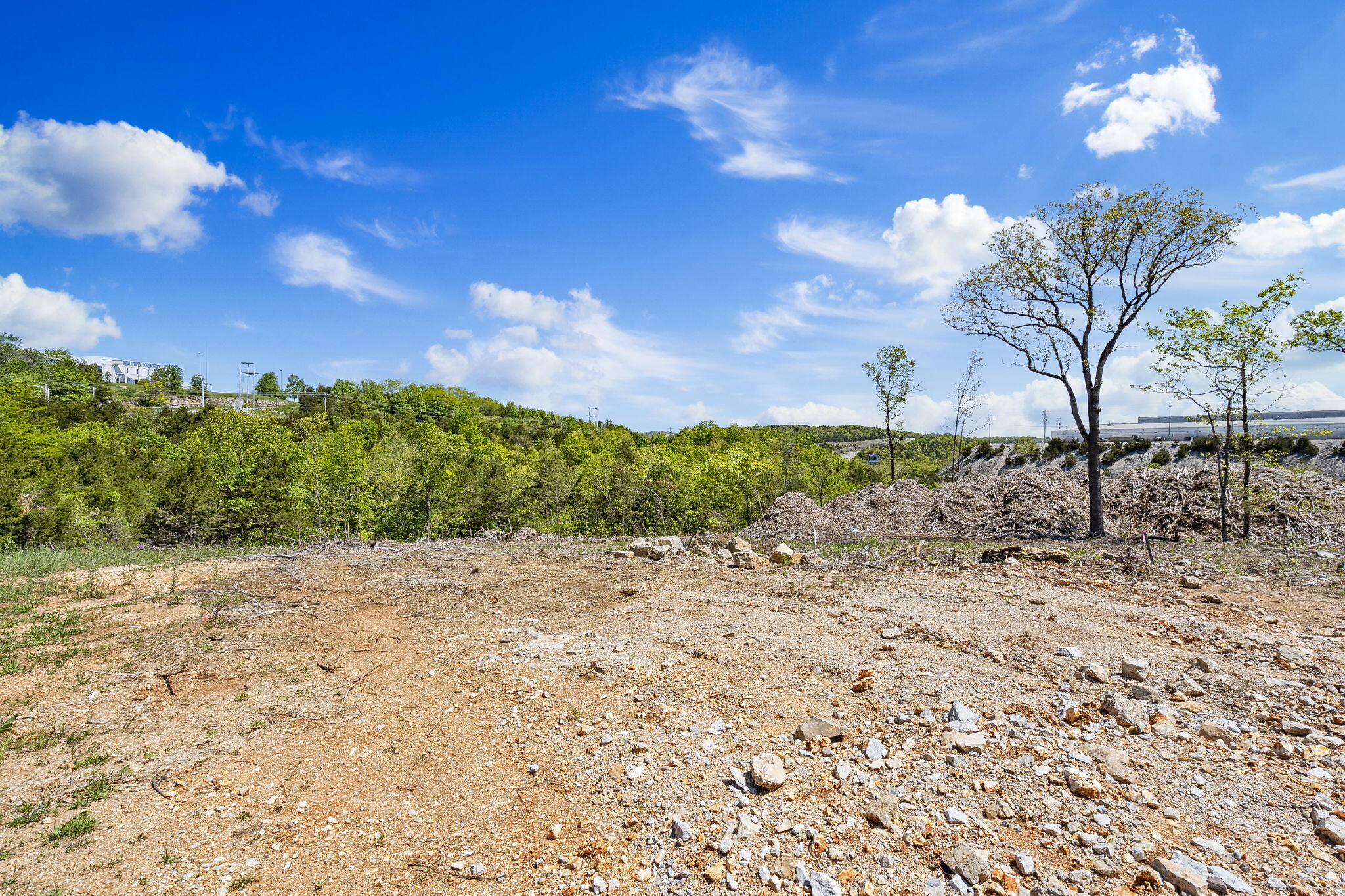 Photo 7 - Commercial Sale for sale – 300 N Wildwood Drive  Branson, MO
