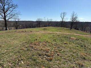 Photo 5 - Land for sale – 000  Tract 1 Sugar Fork   Goodman, MO