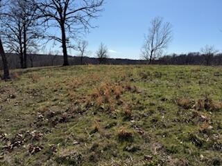 Photo 2 - Land for sale – 000  Tract 1 Sugar Fork   Goodman, MO