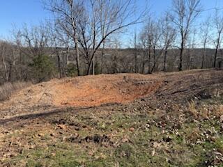 Photo 9 - Land for sale – 000  Tract 1 Sugar Fork   Goodman, MO