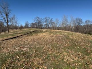Photo 13 - Land for sale – 000  Tract 1 Sugar Fork   Goodman, MO