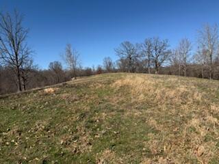 Photo 6 - Land for sale – 000  Tract 1 Sugar Fork   Goodman, MO