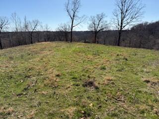 Photo 12 - Land for sale – 000  Tract 1 Sugar Fork   Goodman, MO