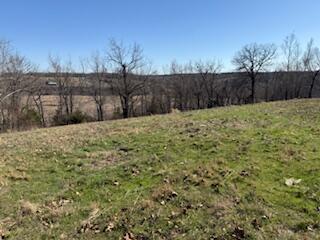 Photo 3 - Land for sale – 000  Tract 1 Sugar Fork   Goodman, MO