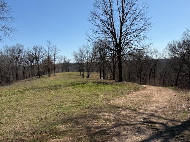 Photo 6 - Land for sale – 000  Tract 2 Sugar Fork   Goodman, MO