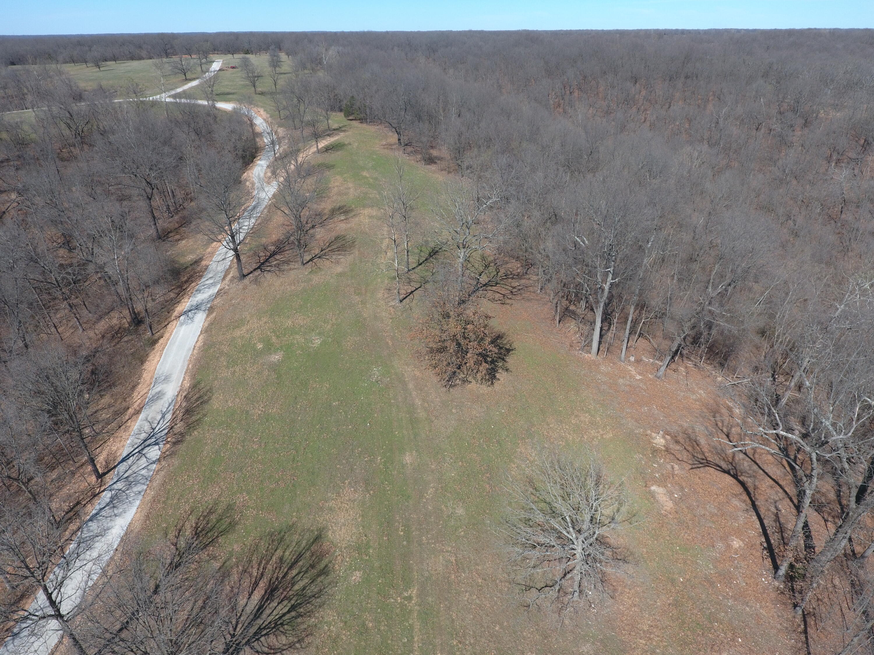 Photo 9 - Land for sale – 000  Tract 2 Sugar Fork   Goodman, MO