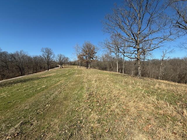 Photo 2 - Land for sale – 000  Tract 2 Sugar Fork   Goodman, MO