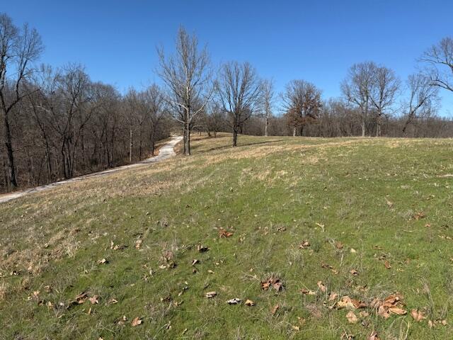 Photo 4 - Land for sale – 000  Tract 2 Sugar Fork   Goodman, MO
