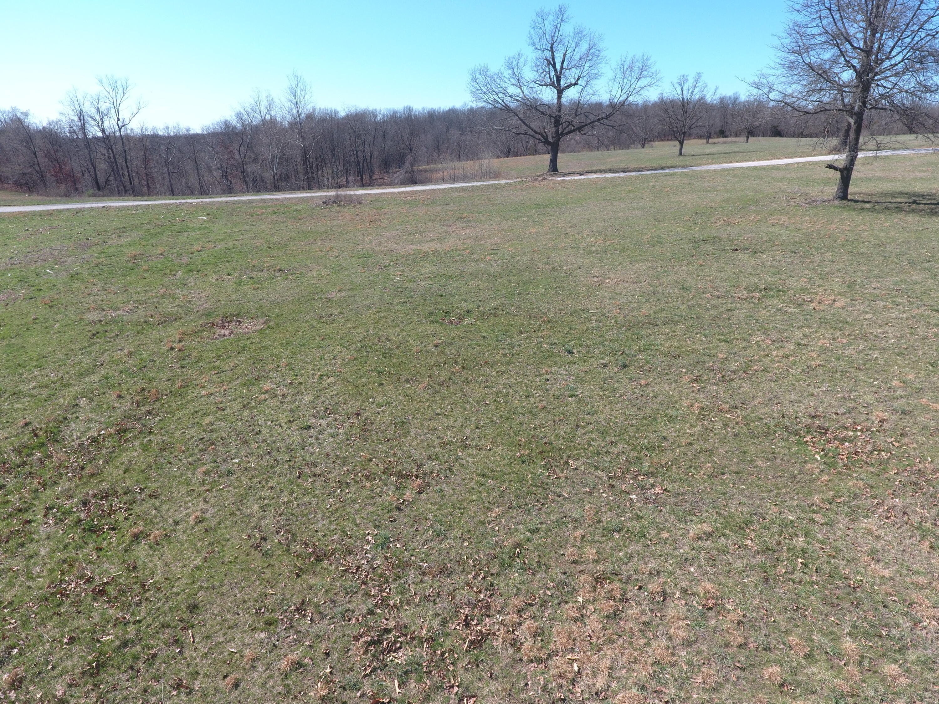 Photo 3 - Land for sale – 000  Tract 2 Sugar Fork   Goodman, MO