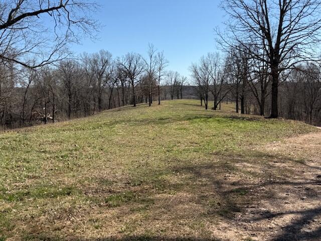 Photo 8 - Land for sale – 000  Tract 2 Sugar Fork   Goodman, MO