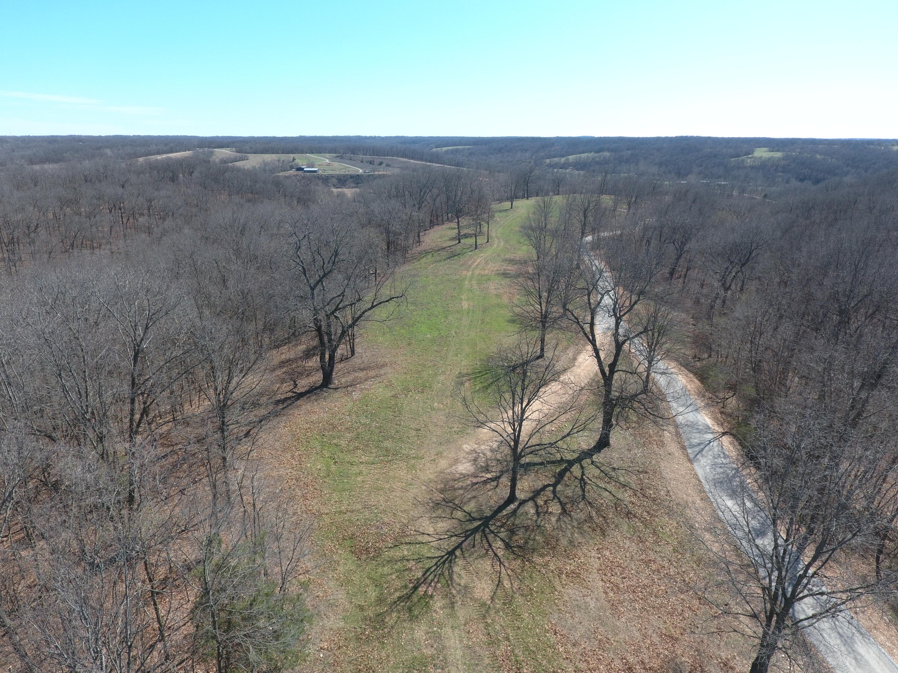 Photo 5 - Land for sale – 000  Tract 2 Sugar Fork   Goodman, MO