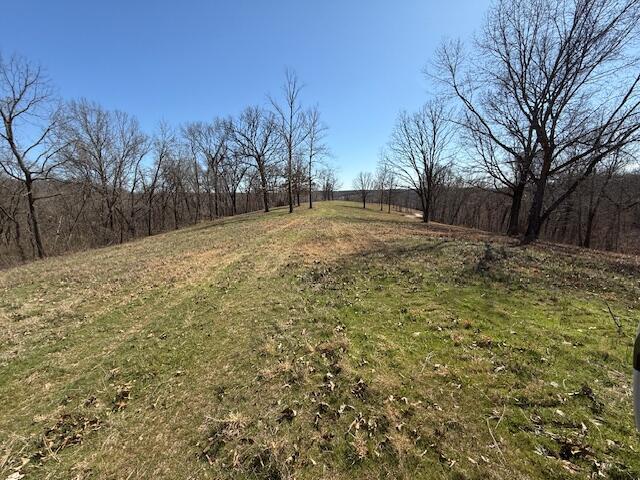 Photo 10 - Land for sale – 000  Tract 2 Sugar Fork   Goodman, MO